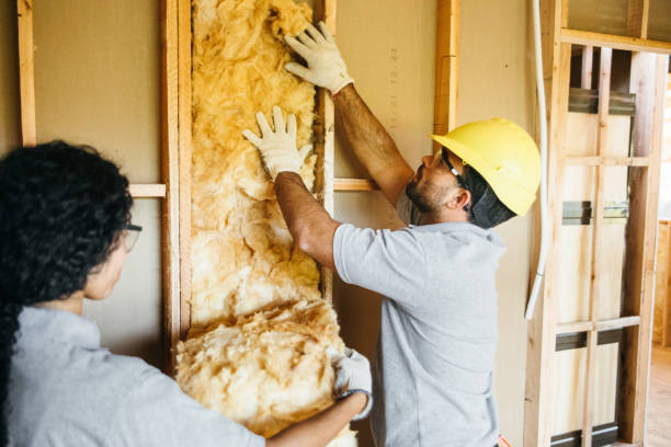 Types of Insulation We Offer in Murphy, MO